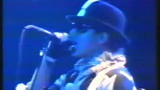 Noticia Festival Lollapalooza 1992