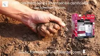 Pele das mãos seca a muito seca e danificada