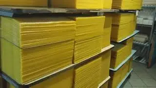 Вощина без тау-флувалінату