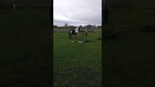 NL Equestrian Games | Challenge 2