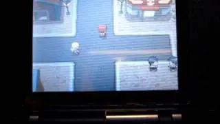 Pokemon Diamond and Pearl Placeholder Item Glitch