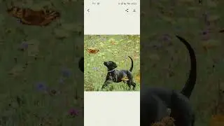 Google Gemini app kya hai | how to use google gemini app | google gemini app kaise use karen