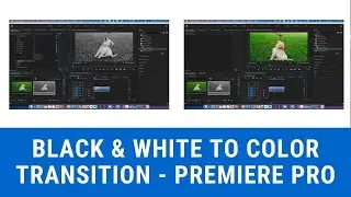 Black and White to Color Transition - Premiere Pro