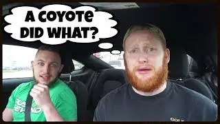 BEARD COMPETITION! | Massive Changes