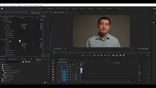 Learn How to Change or Remove Video Background in Premiere Pro
