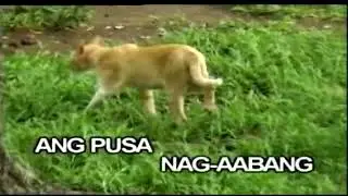 ANG PUSA - NURSERY RHYMES - KARAOKE