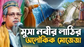 মুসা নবীর লাঠির মোজেজা┇মৌলানা আবুল কালাম আজাদ ওয়াজ┇abdul kalam azad waz 2024┇আবুল‌ কালাম আজাদ ভারত
