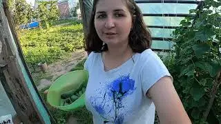 НАВОДИМ ПОРЯДОК В ОГОРОДЕ!   ФЕРМА С НУЛЯ. НАША ЖИЗНЬ