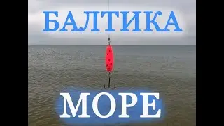 Кумжа, лосось, разговоры про конопатого
