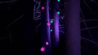 Vallea lumina Whistler BC #funtoinfinity