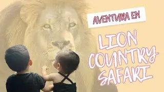 LION COUNTRY SAFARI: ¡El Safari en coche más grande de Florida!
