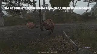 МАСТЕР МАСКИРОВКИ  (S.T.A.L.K.E.R. Anomaly) (15)