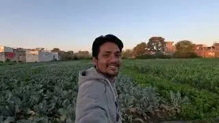 DOLLOR VLOG Part 2