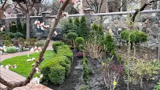 ВЕСЕННЯЯ ЧИСТКА ХВОЙНЫХ РАСТЕНИЙ ПОДХОДИТ К КОНЦУ🌲 НО! ЭТО ЕЩЁ НЕ ВСЁ!💚