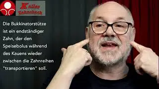 Basics artegral® life Zahnaufstellung