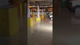 When Lower Michigan Ave becomes Lake Michigan