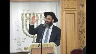 הרב יגאל אבן דנאן | פרשת לך לך | מי צריך לכבד את מי?