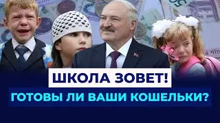 Как нас доят: налоги, школа и за что платят беларусы?