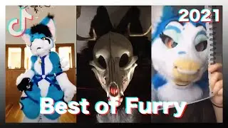 Best Furry Tik Tok 2021 #1
