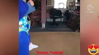 Cat and Dog Funny video