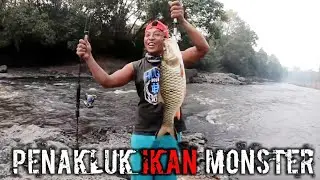TERCIDUK!! PREDATOR HAMPALA BESAR || BARB FISH || Reynold sb 14/9/2019
