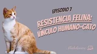 MISHILOVERS RESISTENCIA FELINA - Vínculo humano/gato con Dra Paula Calvo de Antrozoología