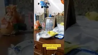 Смешной топот попугая по тарелки 😅 