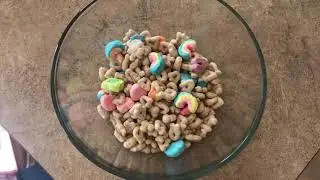 Mixtures and Pure Substances