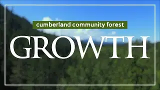 GROWTH - turning 2nd generation into old growth forest