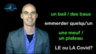 French lessons: LE or LA Covid / meuf / plateau