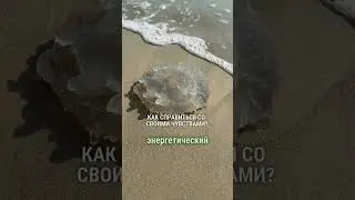 Как справиться со своими чувствами?