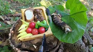 Ловим рыбу и сразу жарим на костре 😍😍😍 рыбалка на хищника