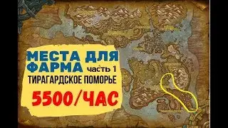 (TS-1) Gold farm WoW BFA 8.2.5.