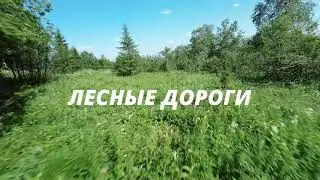 Лесные дороги Южного Урала