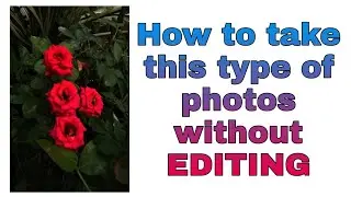How to take this type of photos without editing||Portrait  mode photo tips💡||Photography tips