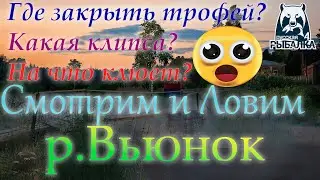 Точки клева на р.Вьюнок. Русская рыбалка 4. Аккаунт универсал.
