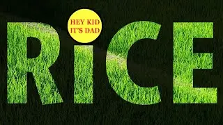 What's with all the Rice? The lifeblood of Thailand S01E12