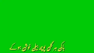 Baki Har Gal Puch||Shakir Shujabadi||Sad line Poetry...