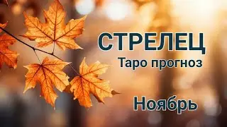 СТРЕЛЕЦ 🌈Таро прогноз🌛Ноябрь 2024