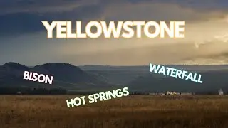 I ONLY had one day in Yellowstone but I think I did alright!