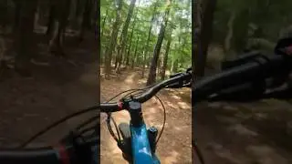 Faceplant on a Trek Roscoe Mountain Bike