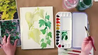 Mastering Watercolor Vines for Beginners