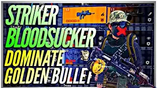 How to Build a DANGEROUS Striker Bloodsucker PVE Damage Build & Survivability in Division 2!