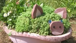 Цветники и клумбы на даче своими руками