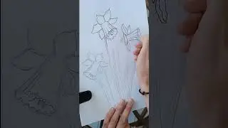Как перевести рисунок от руки в вектор. 