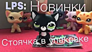 LPS: Новинки #2 СТОЯЧКА В УПАКОВКЕ??
