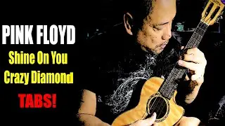 PINK FLOYD Shine On You Crazy Diamond Ukulele Cover using ToneWoodAmp (2019)