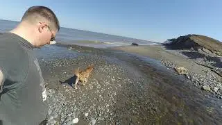 Поход на Баренцево море с босом. Первый тёплый день на о. Колгуев!