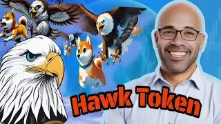 In-Depth Review: 🔷Hawk Token's Vision of Freedom & Wealth on BSC🔷