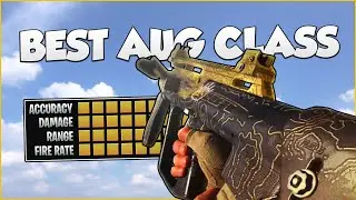 The Best AUG Class in Modern Warfare!